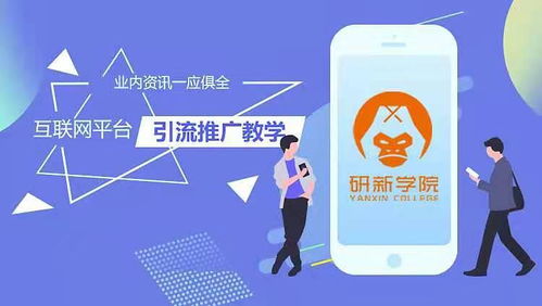 专注自我，用心服务