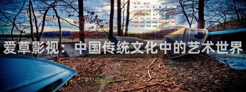 高清极速影院：爱草影视：中国传统文化中的艺术世界