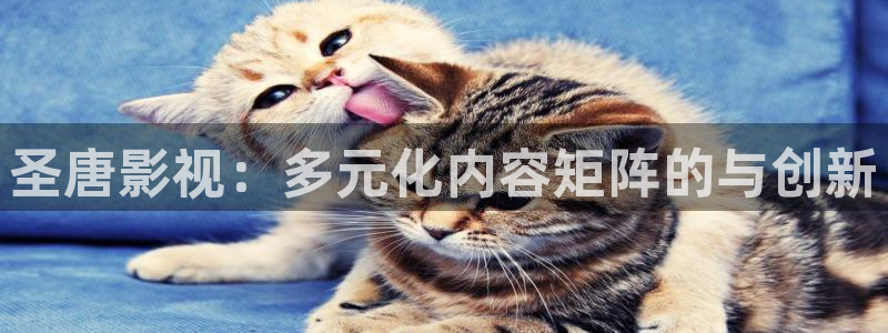 极速影院2.0.1版本：圣唐影视：多元化内容矩阵的与创新