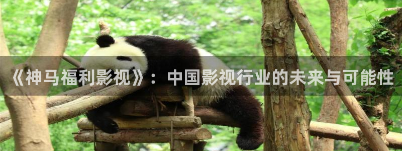 极速影院免费：《神马福利影视》：中国影视行业的未来与可能性