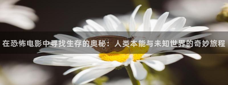 丝瓜视频极速版：在恐怖电影中寻找生存的奥秘：人类本能与未知世界的奇妙旅程