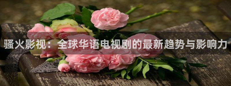 丝瓜视频极速版：骚火影视：全球华语电视剧的最新趋势与影响力