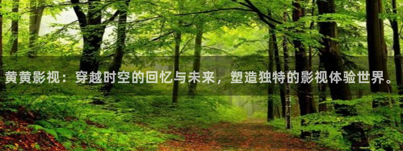 飞极速在线影院：黄黄影视：穿越时空的回忆与未来，塑造独特的影视体验世界。