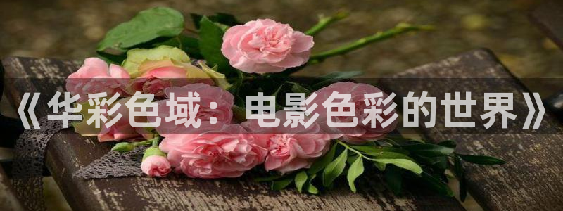 妈妈的朋友极速影院：《华彩色域：电影色彩的世界》