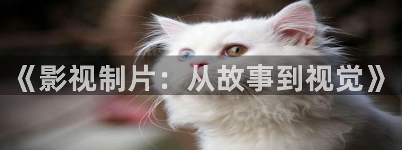 极速电影免费观看：《影视制片：从故事到视觉》