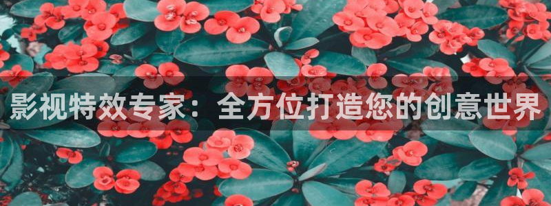 极速影院电视剧大全